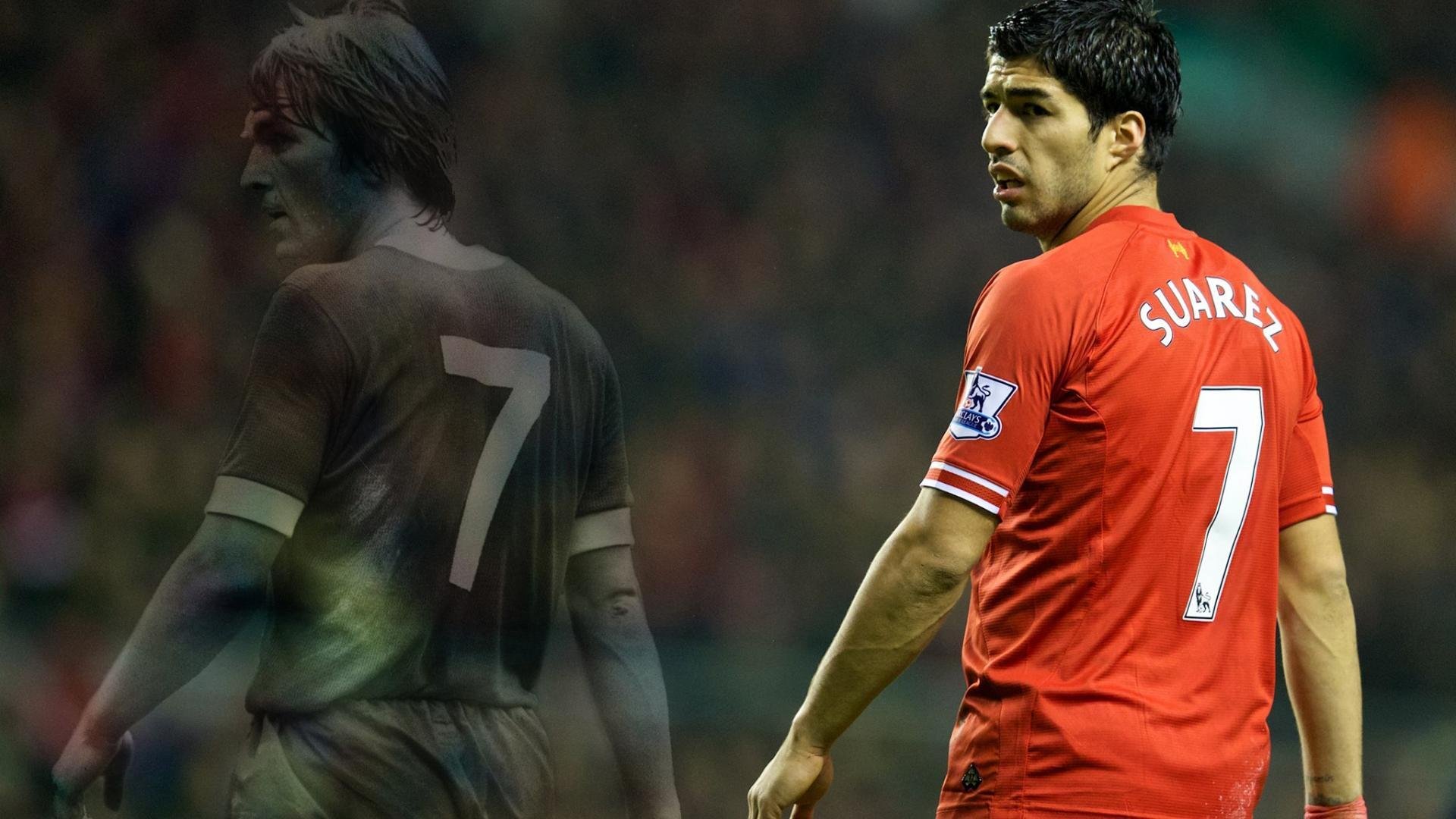 激烈马术公开赛顶尖组合巅峰对决，马术挑战